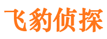 叶县市私家侦探